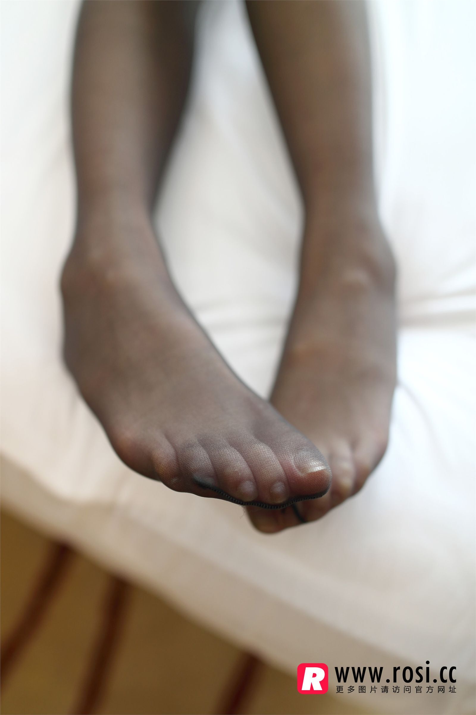 [ROSI写真] 2015.10.29 NO.1421