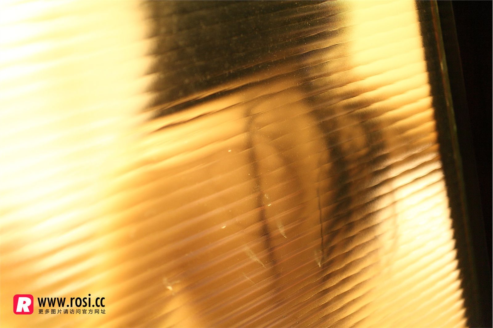 [ROSI写真]2015.12.15 NO.1468