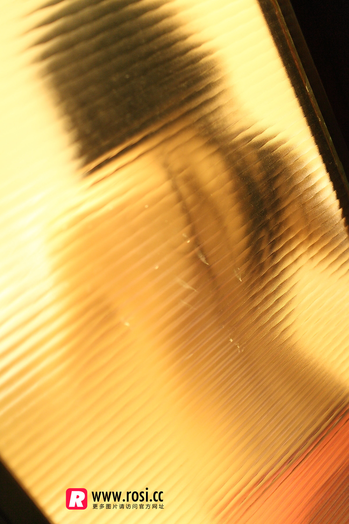 [ROSI写真]2015.12.15 NO.1468