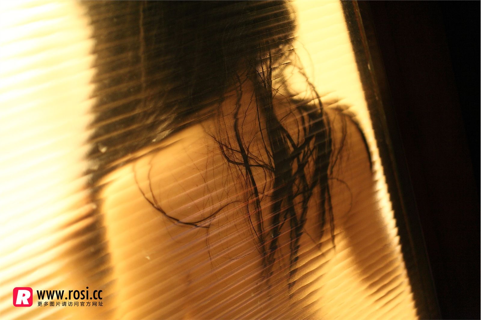 [ROSI写真]2015.12.15 NO.1468