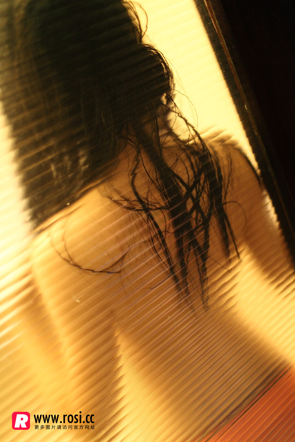 [ROSI写真]2015.12.15 NO.1468