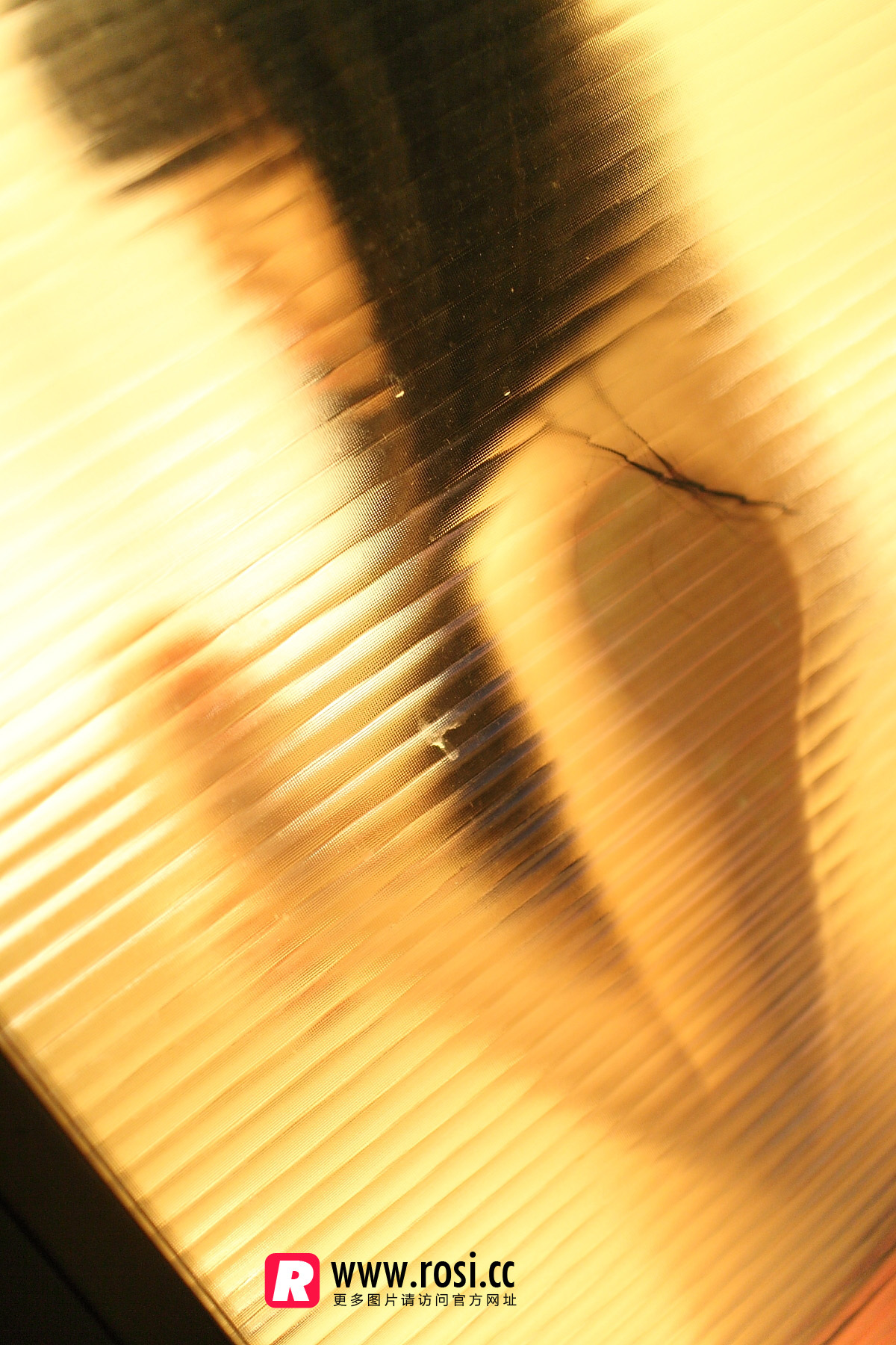 [ROSI写真]2015.12.15 NO.1468