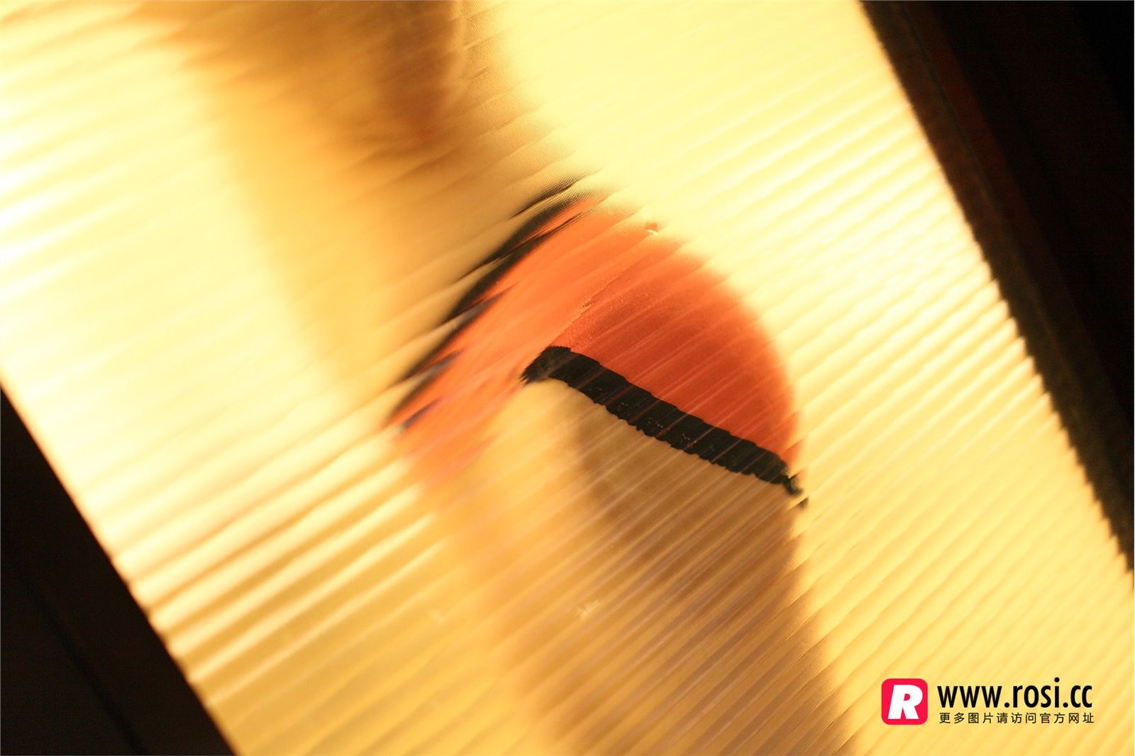 [ROSI写真]2015.12.15 NO.1468