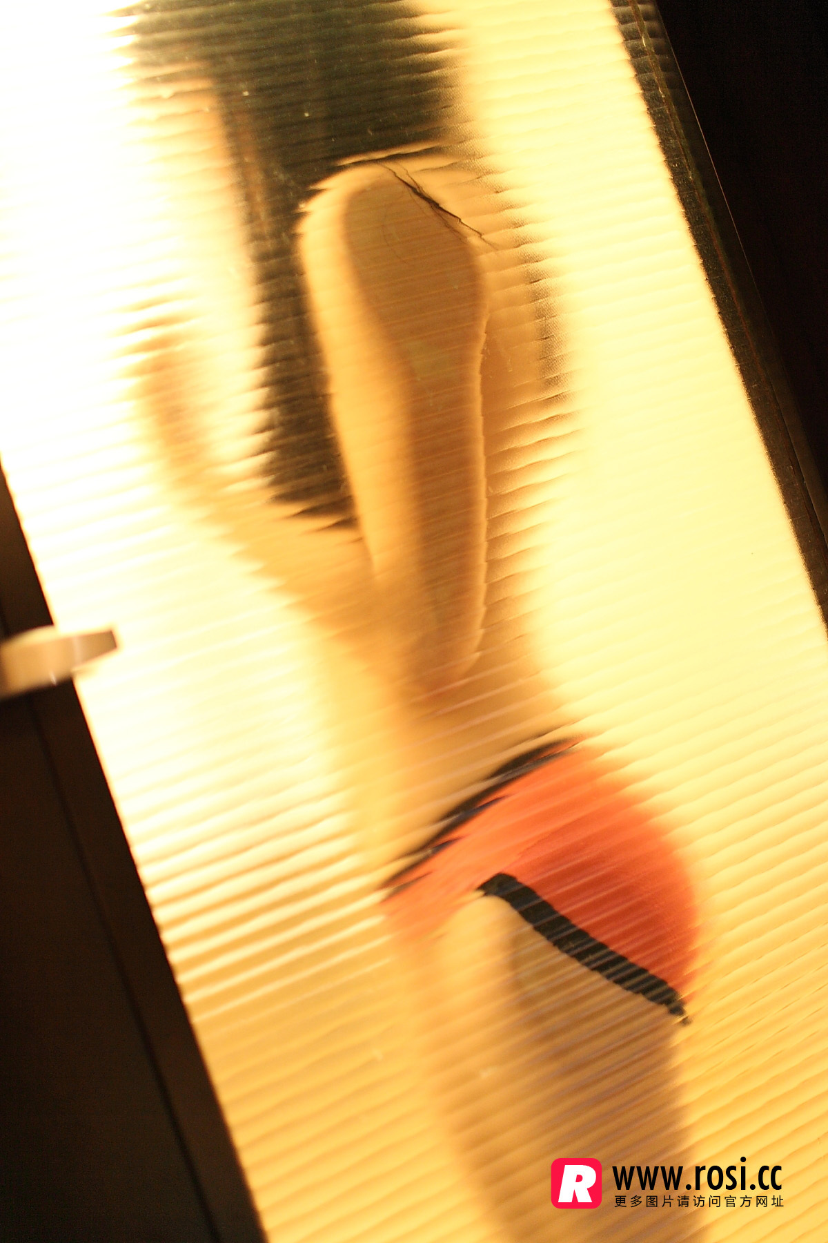 [ROSI写真]2015.12.15 NO.1468