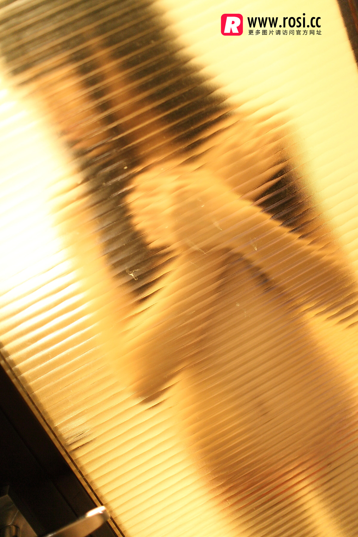 [ROSI写真]2015.12.15 NO.1468