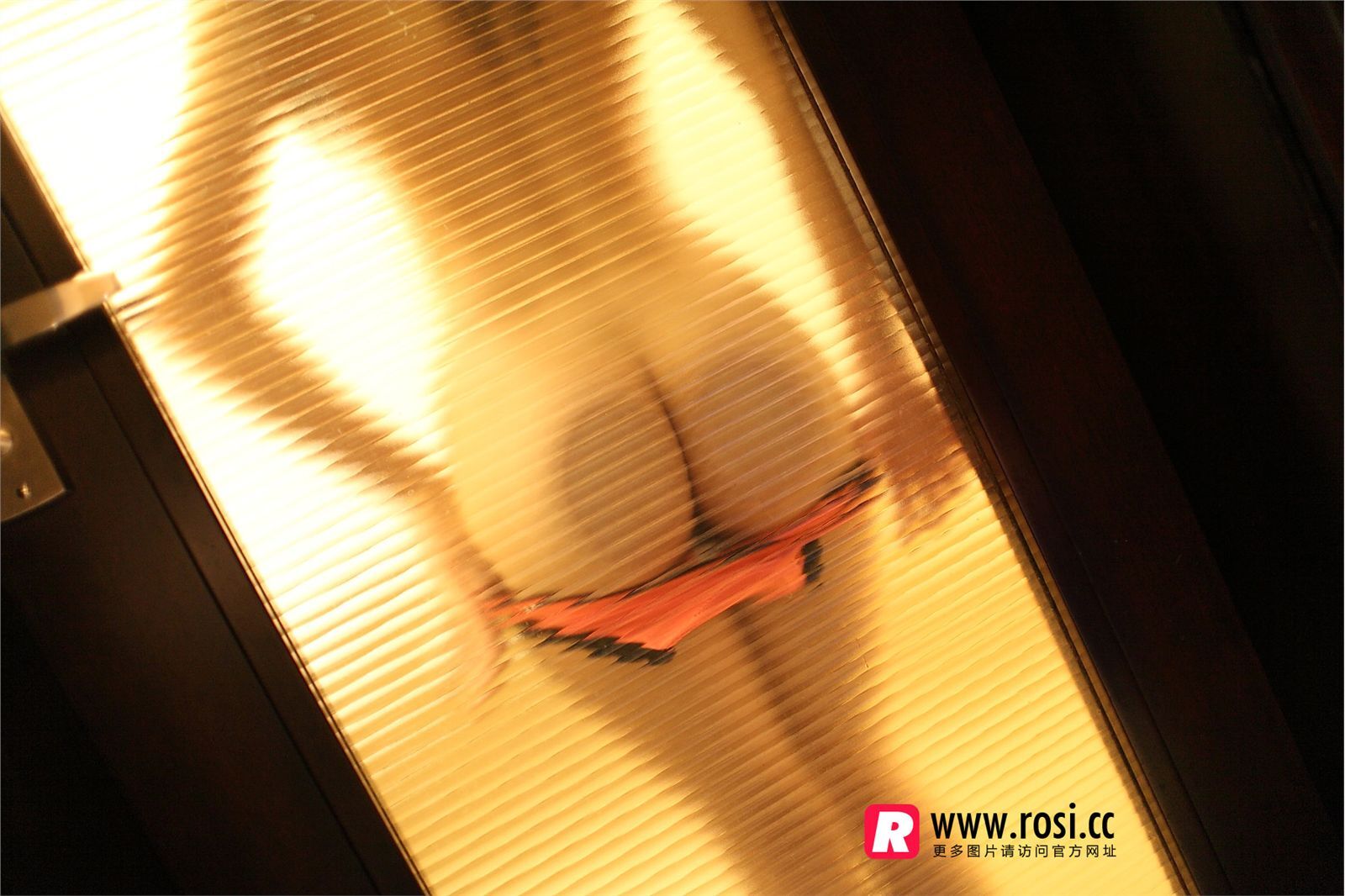 [ROSI写真]2015.12.15 NO.1468