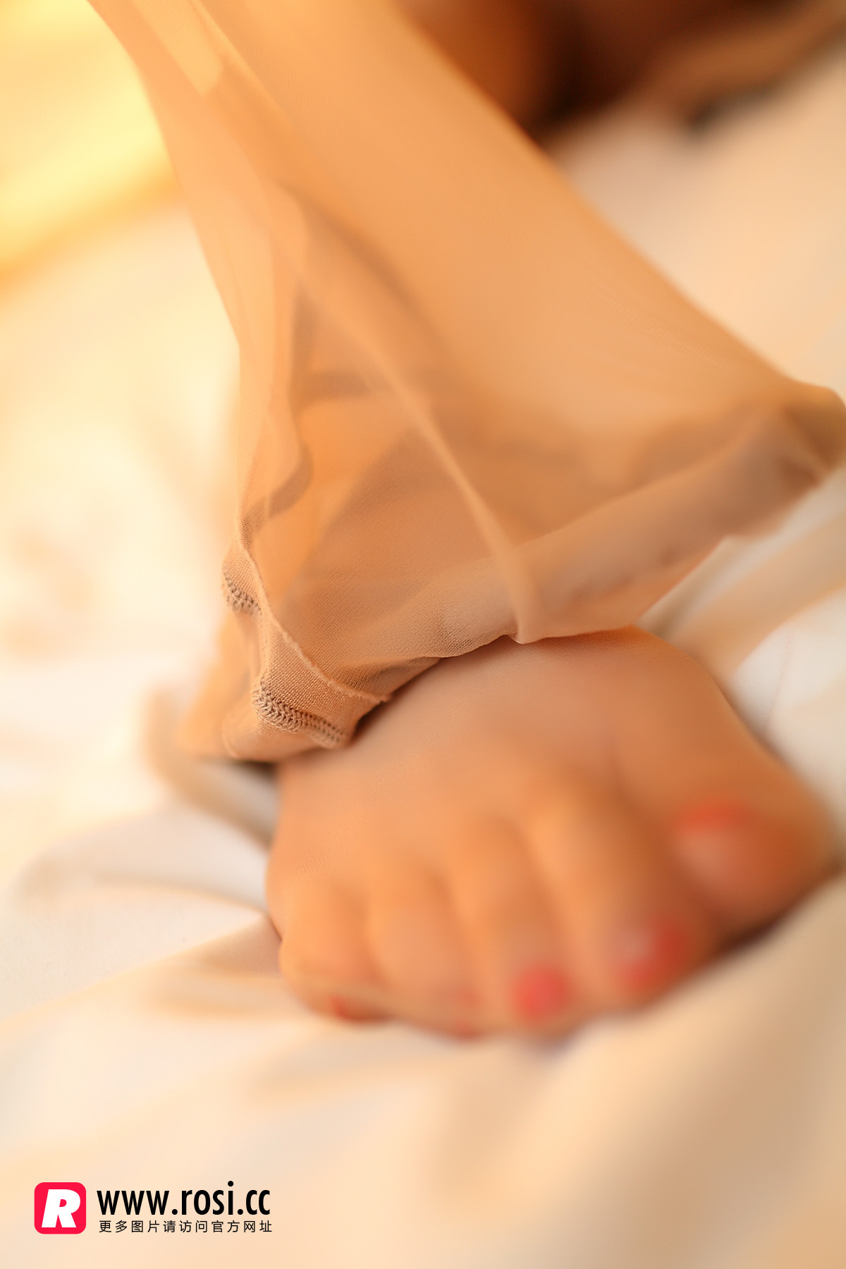 [ROSI写真]2016.01.01 NO.1486