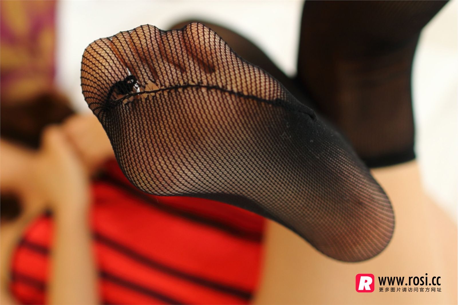 [ROSI写真]2016.01.07 NO.1492