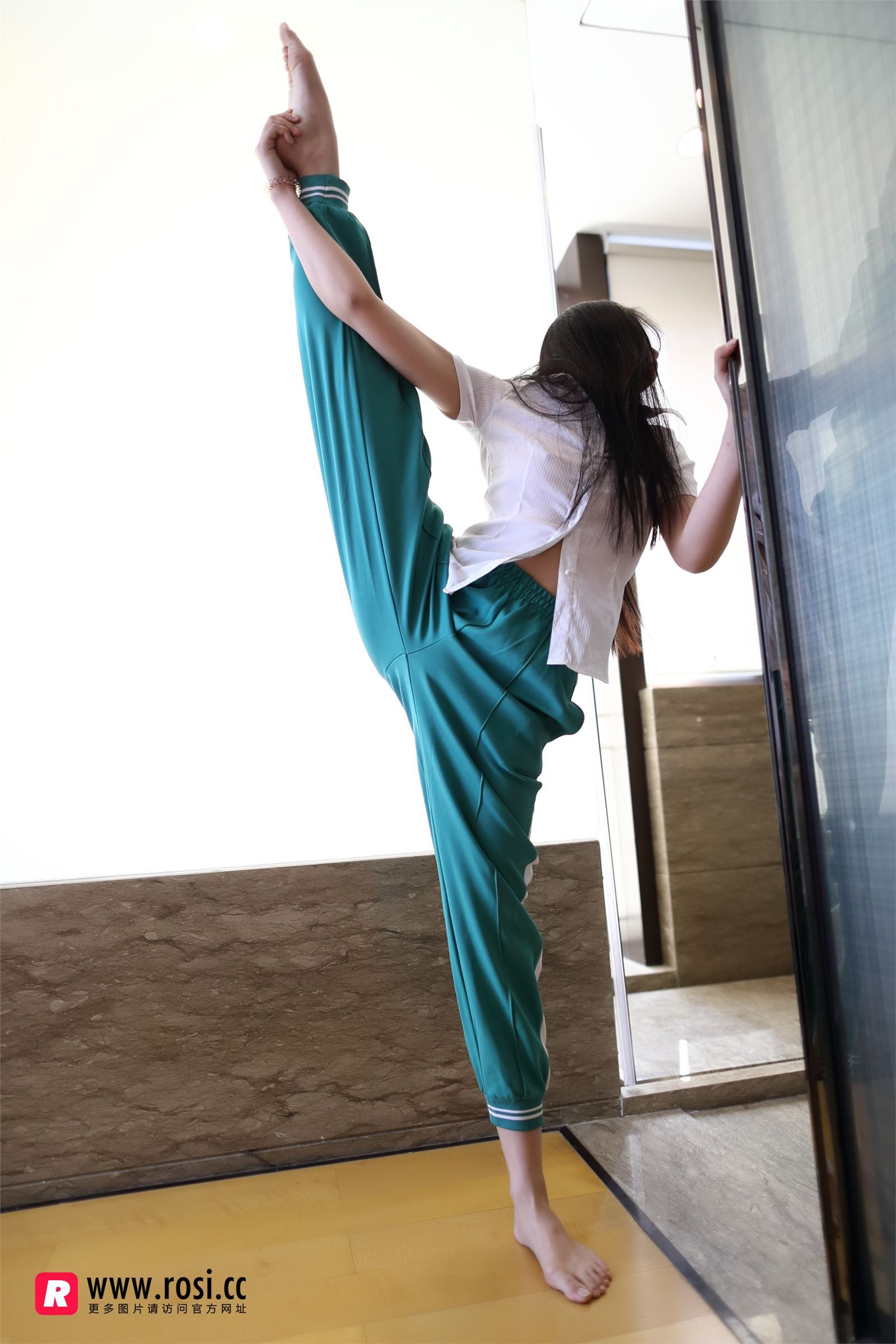 [ROSI写真集]No.2071