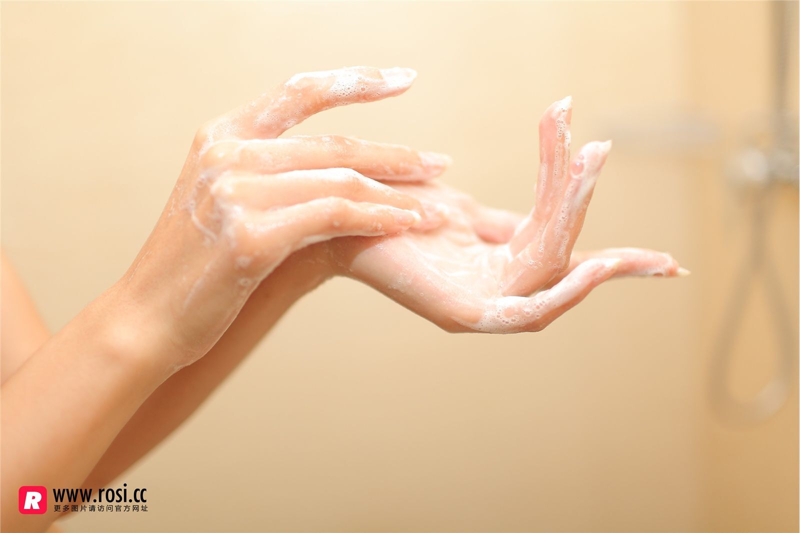 [ROSI写真集]No.1889