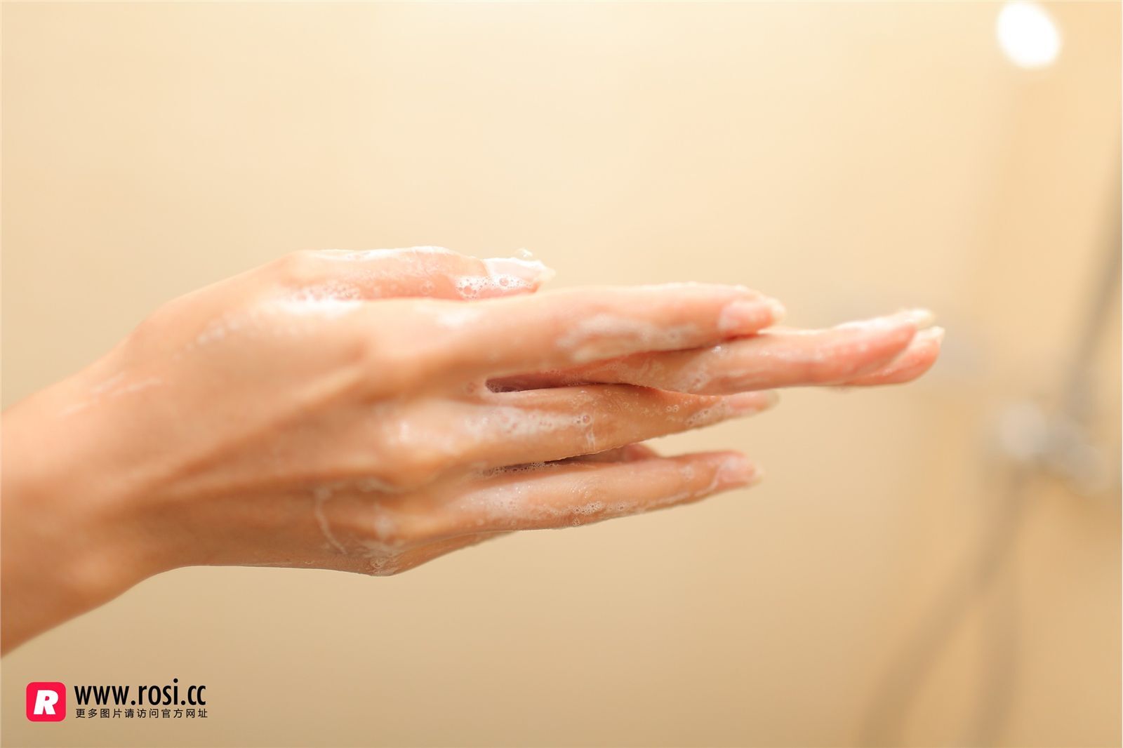 [ROSI写真集]No.1889