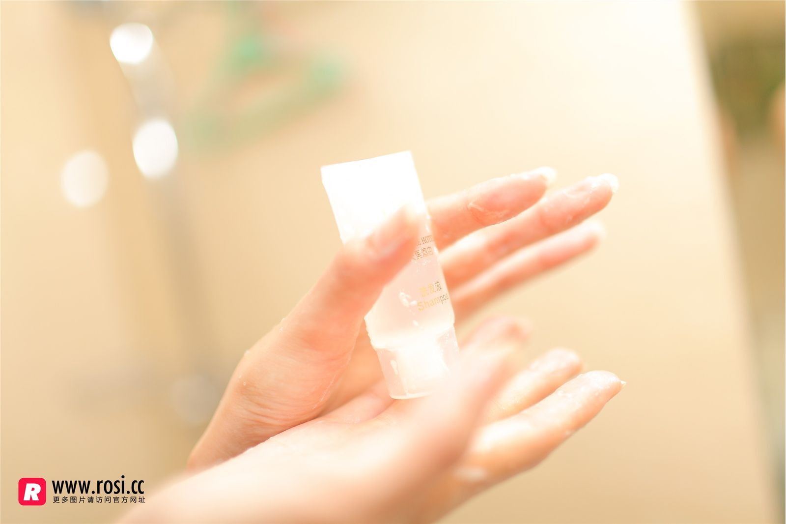 [ROSI写真集]No.1889