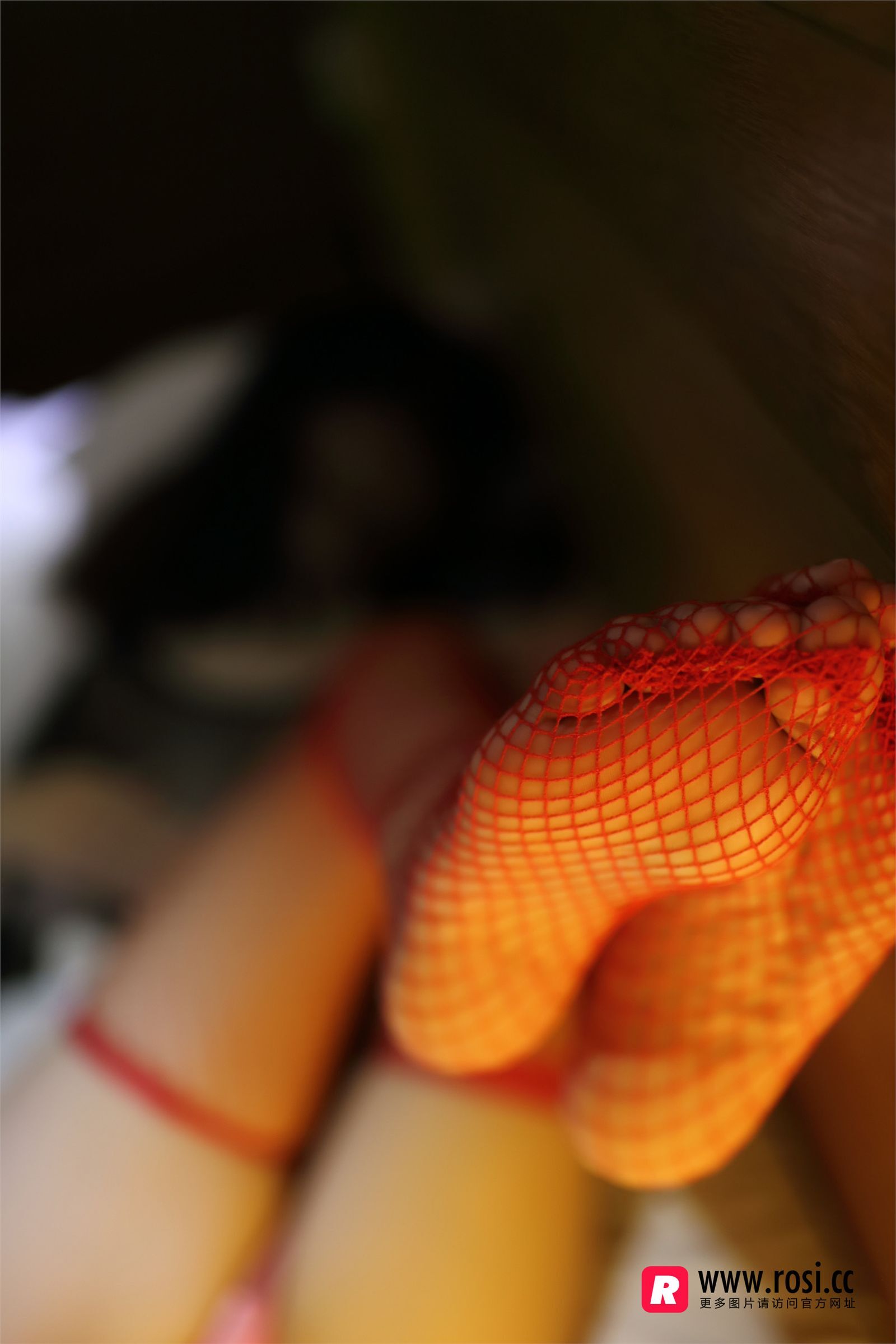 [ROSI写真集]No.1915