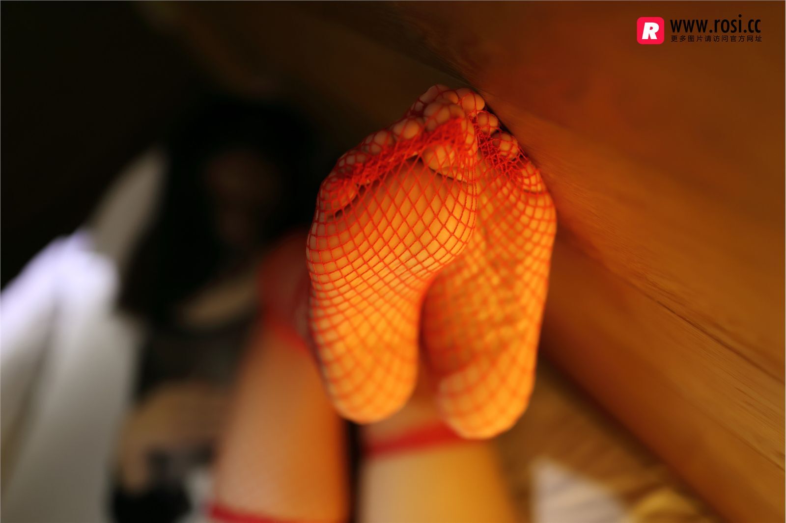 [ROSI写真集]No.1915