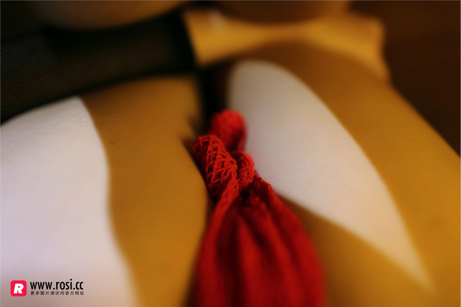 [ROSI写真集]No.1915