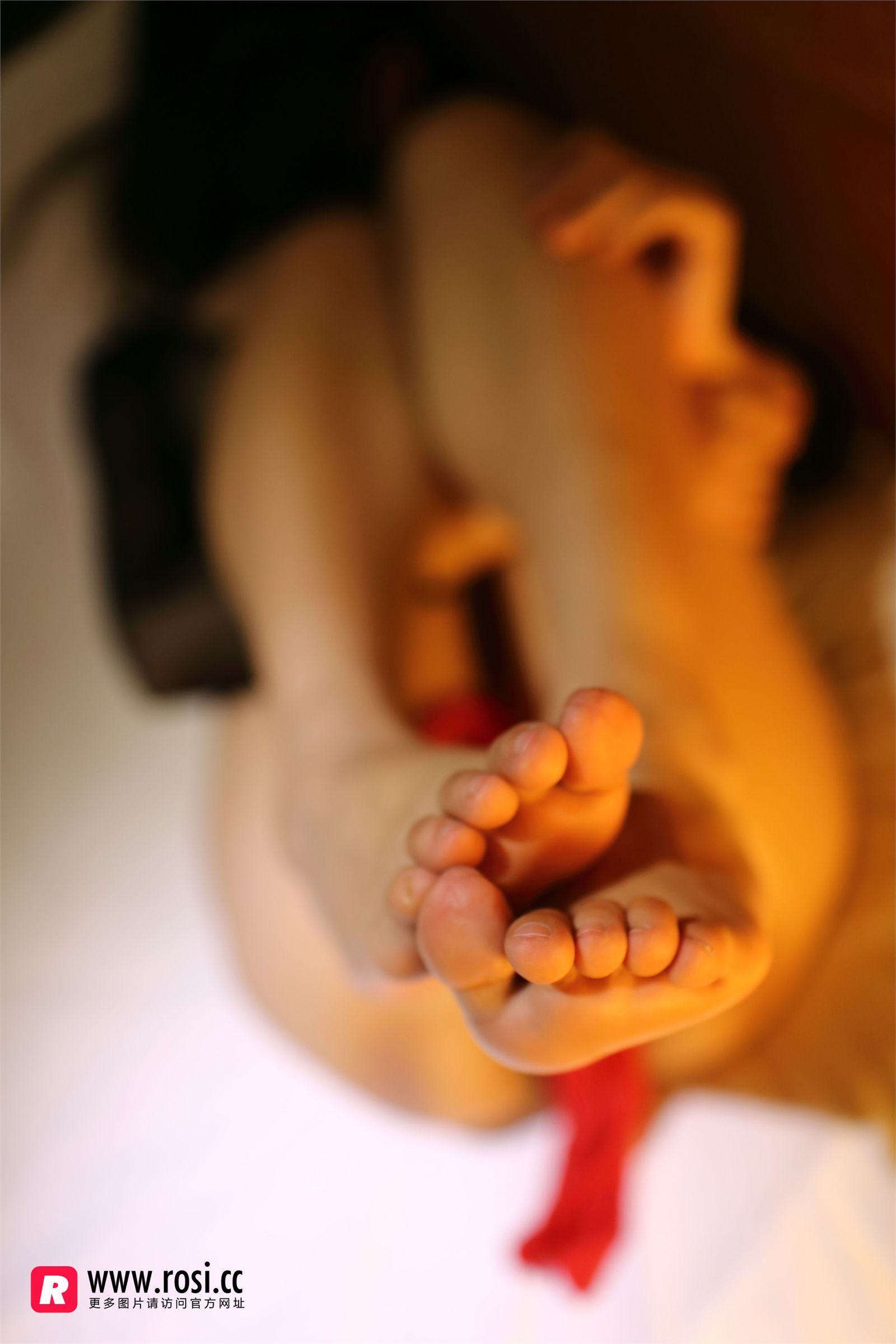 [ROSI写真集]No.1915