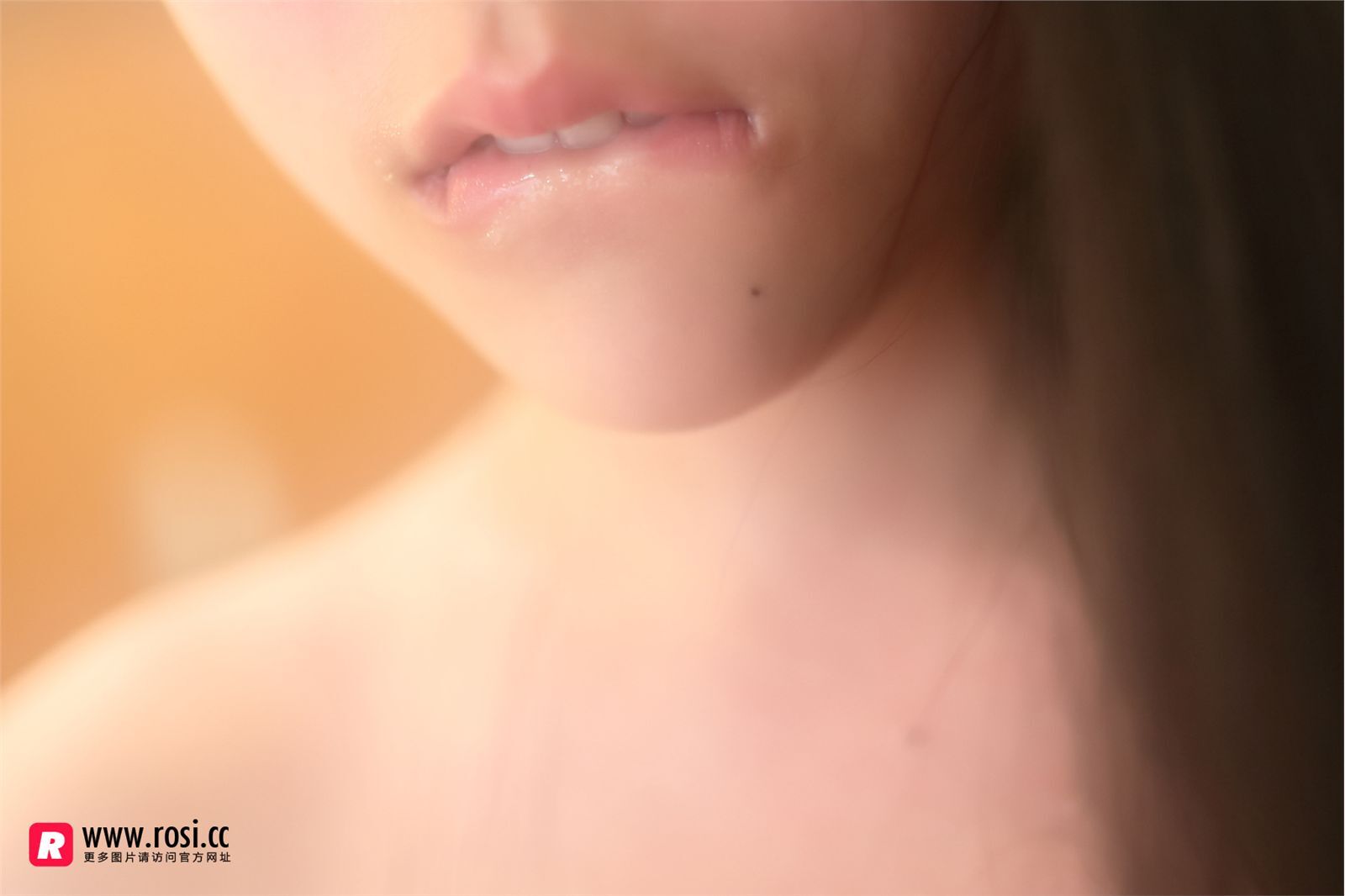 [ROSI写真集]No.1961