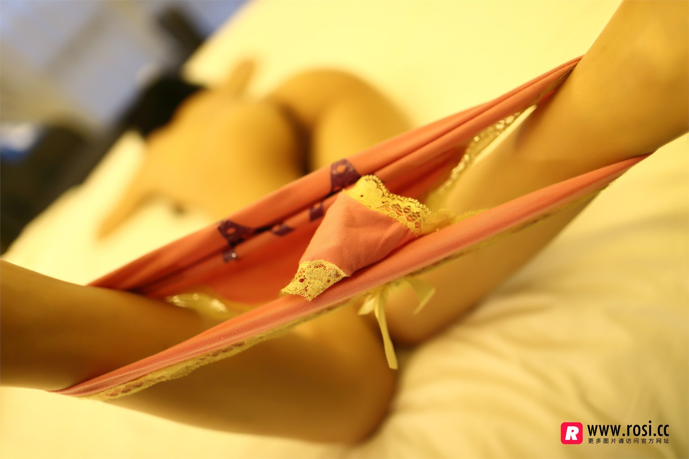 [ROSI写真集]No.2088