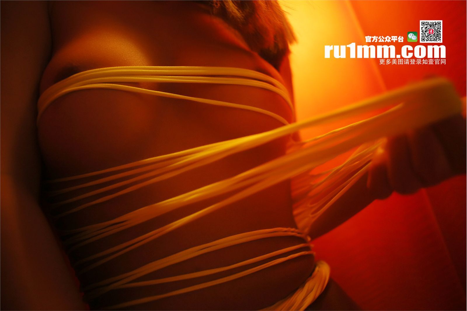 [RU1MM写真]2015.01.21 NO.254