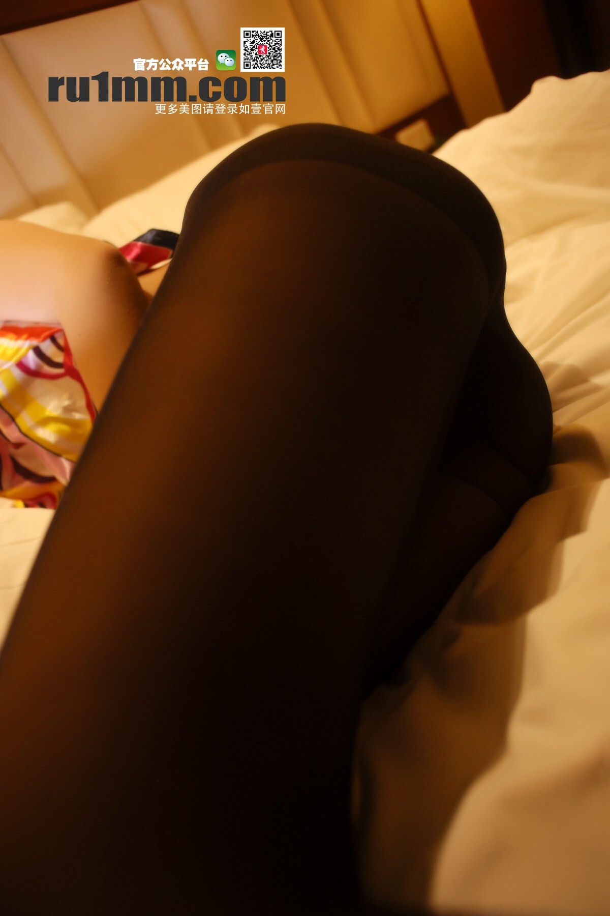 [RU1MM写真]2015.03.16 No.270