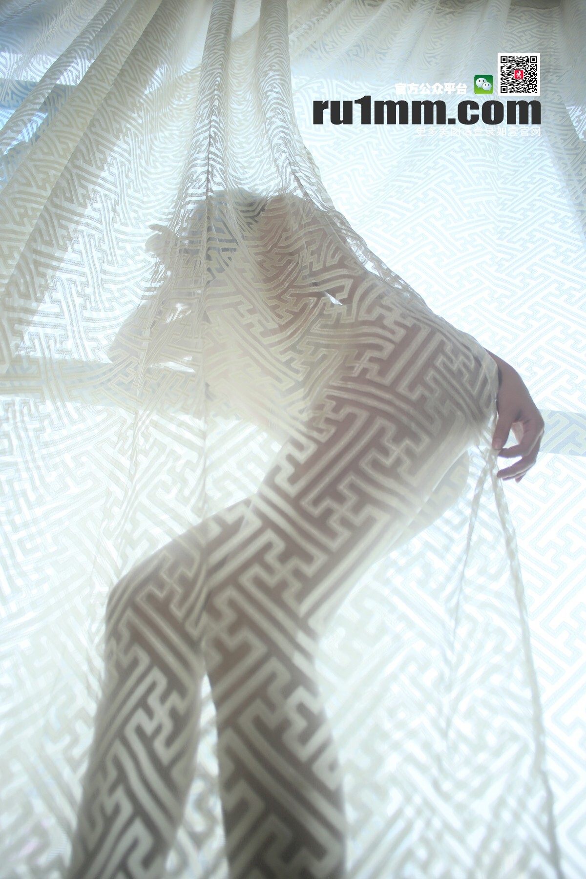 [RU1MM写真]2015.12.10 No.329