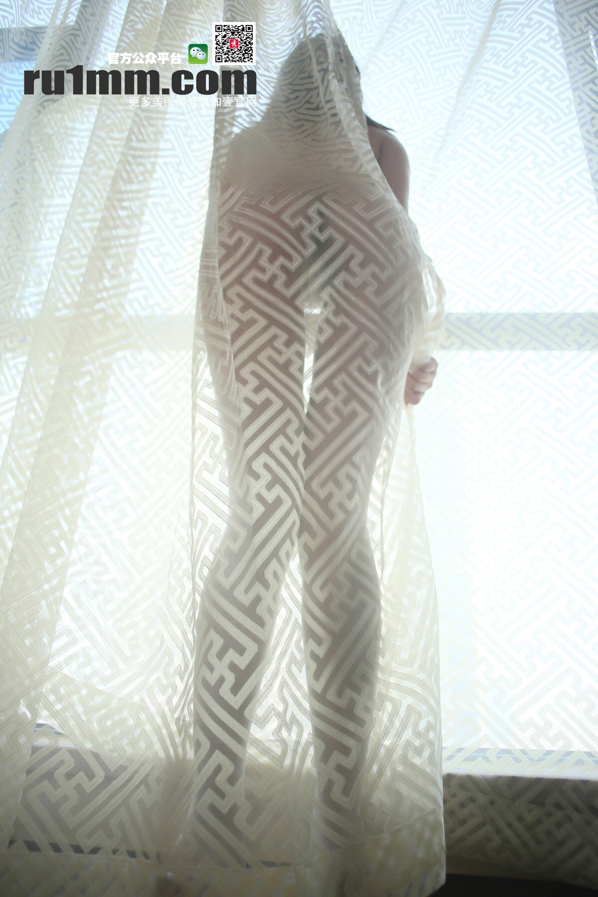 [RU1MM写真]2015.12.10 No.329