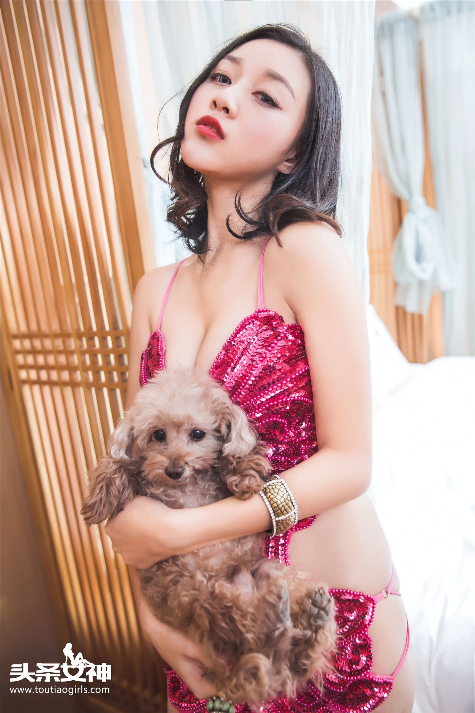 [TouTiao]头条女神 2016-12-20 张梓然