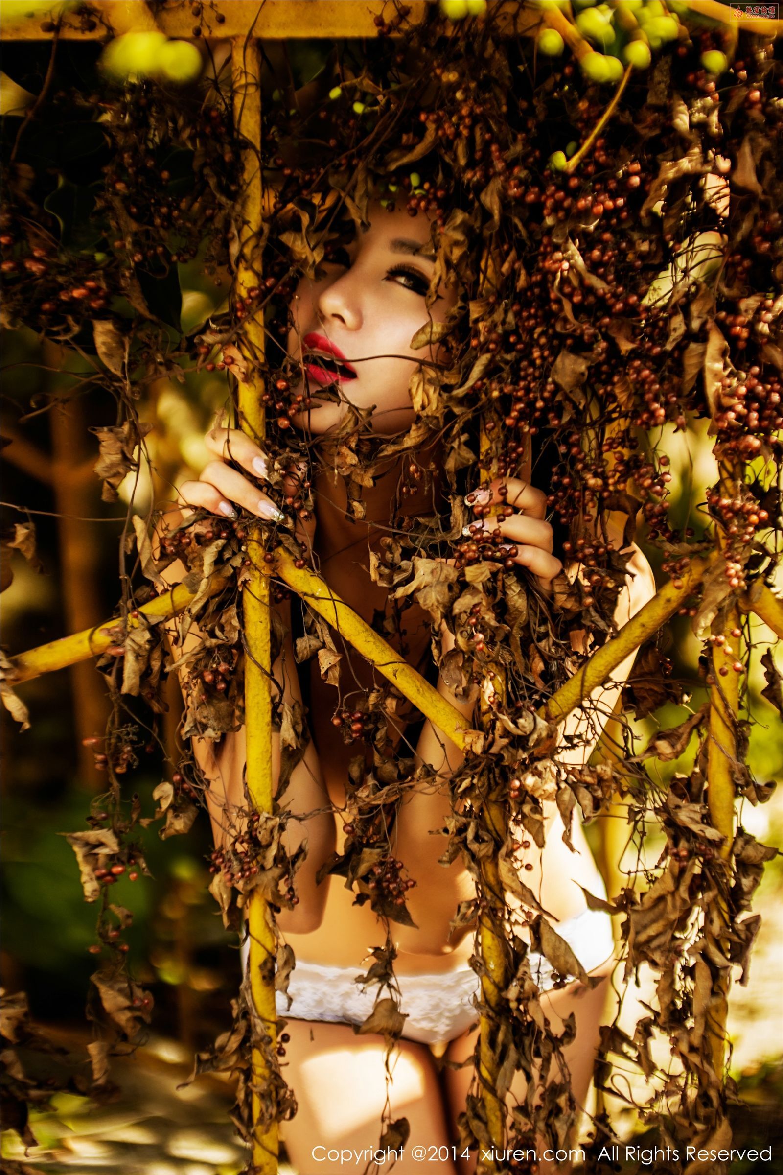 【XiuRen】2014-10-22 No.XR20141022N00226 刘薇拉