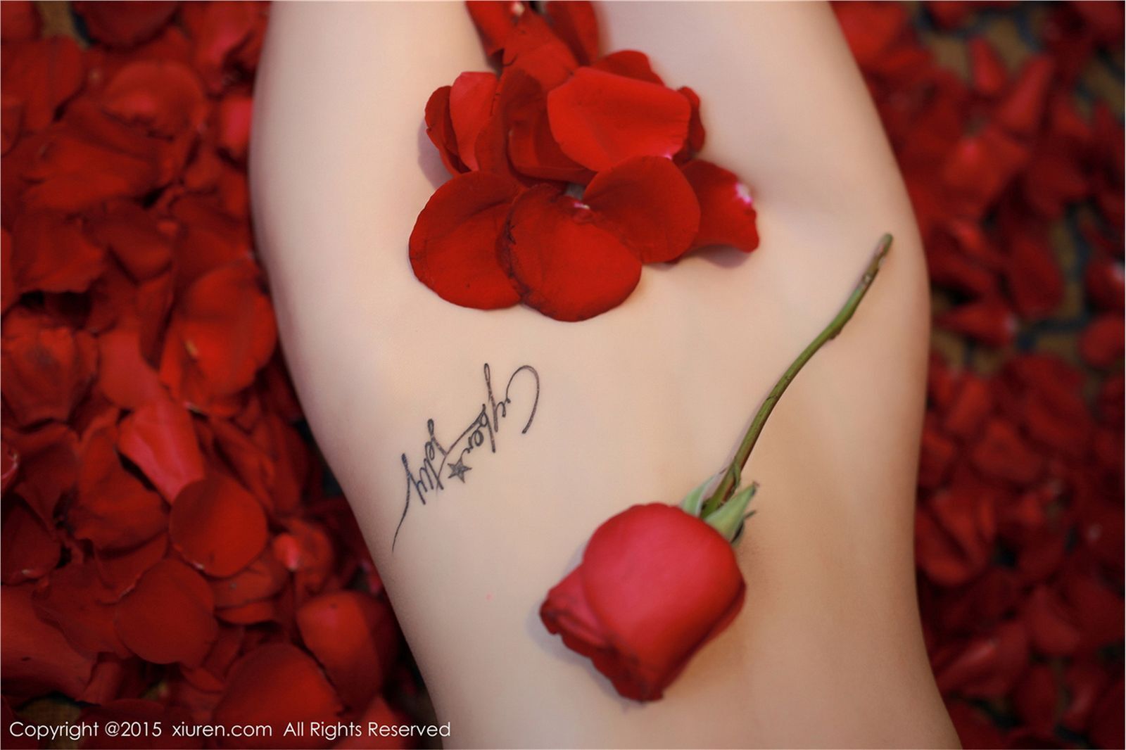 [XIUREN秀人网]2015.01.09 NO.276 CyberJelly霜爷