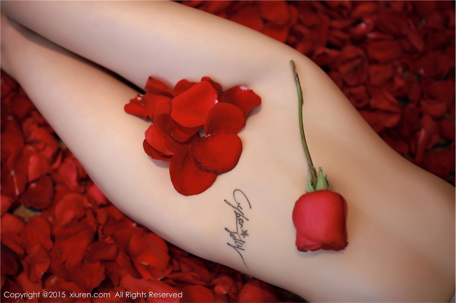 [XIUREN秀人网]2015.01.09 NO.276 CyberJelly霜爷