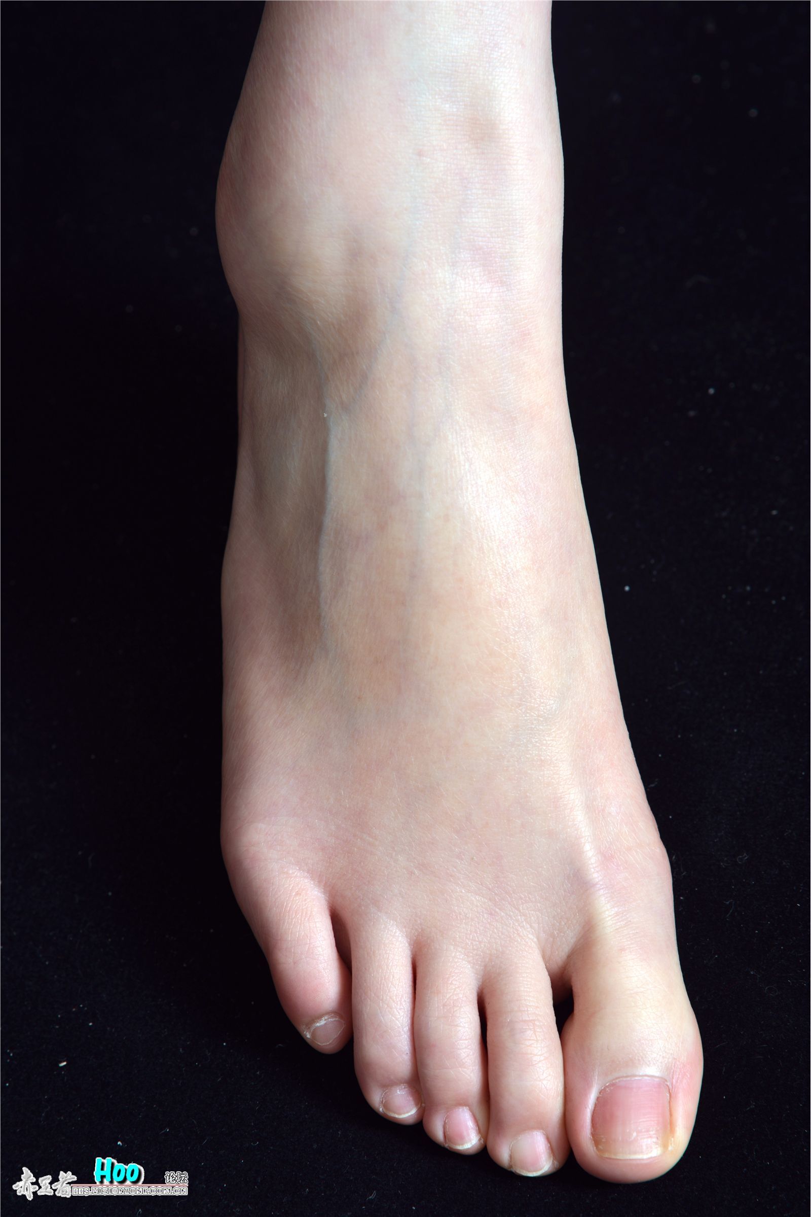 [赤足者]2015.02.12 高清图集 No.008