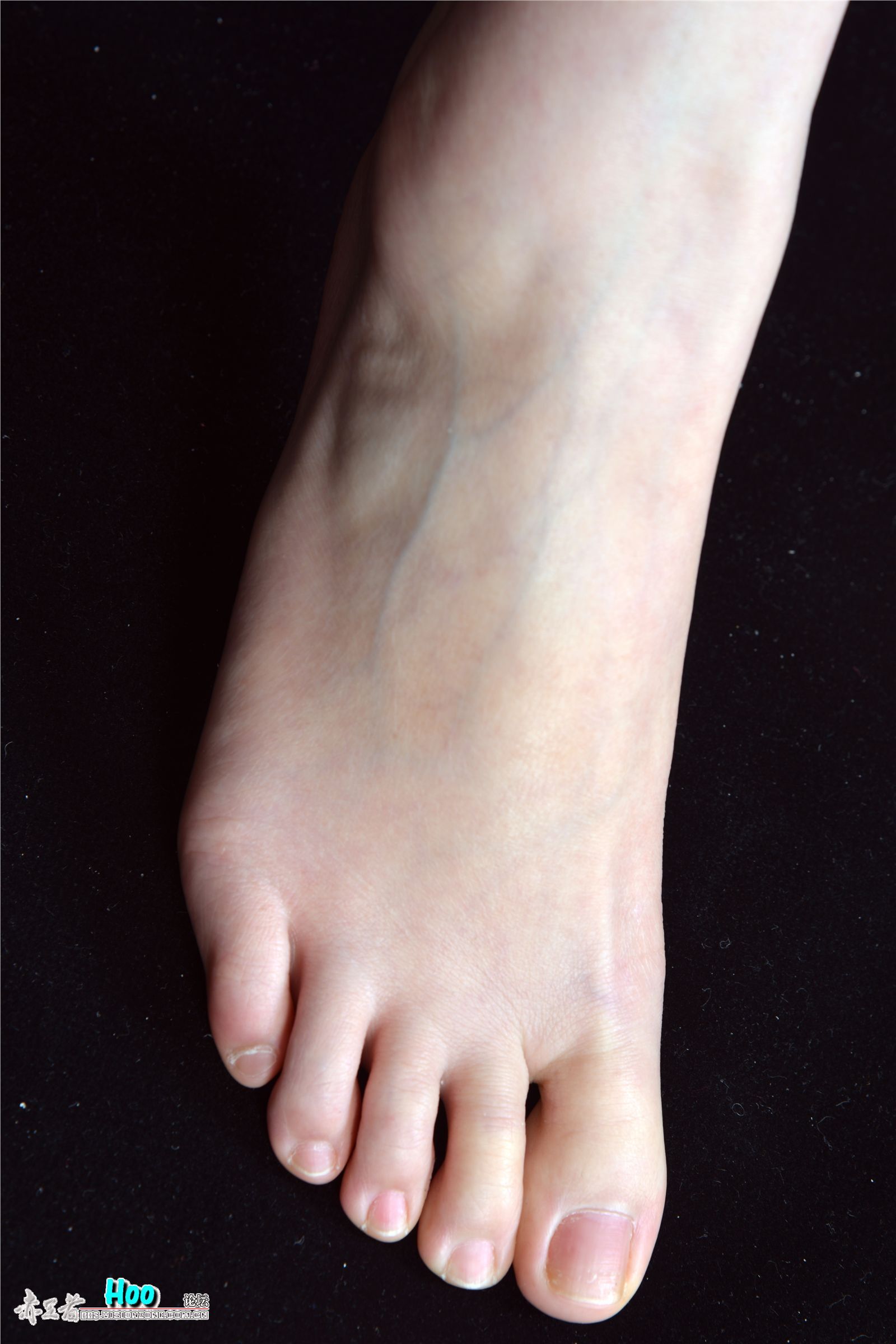 [赤足者]2015.02.12 高清图集 No.008