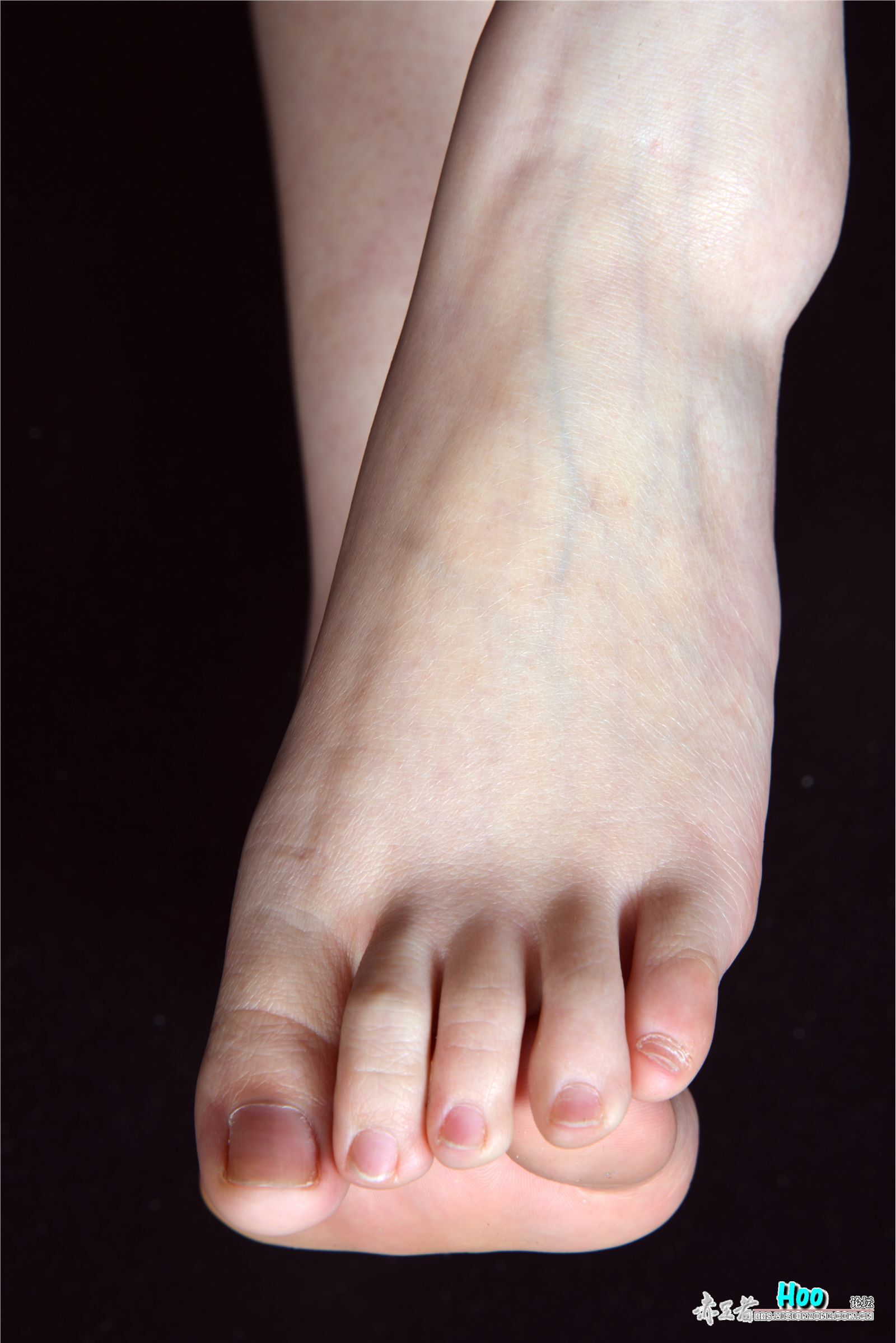 [赤足者]2015.02.12 高清图集 No.008