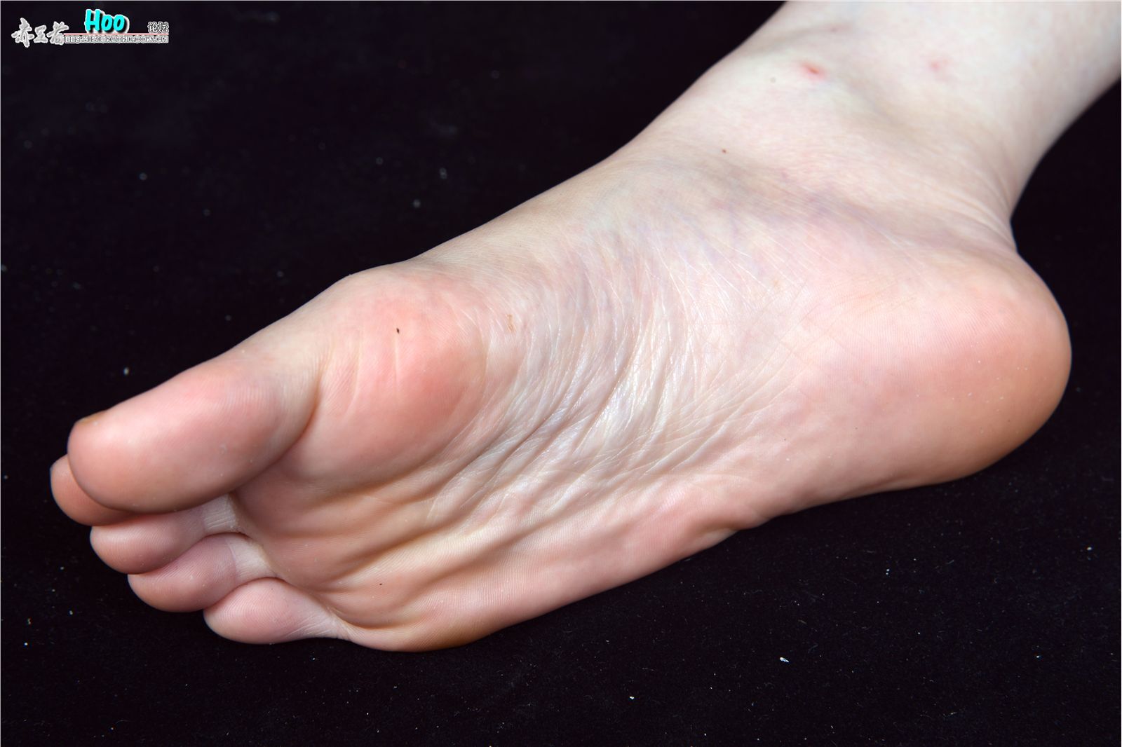 [赤足者]2015.02.12 高清图集 No.008