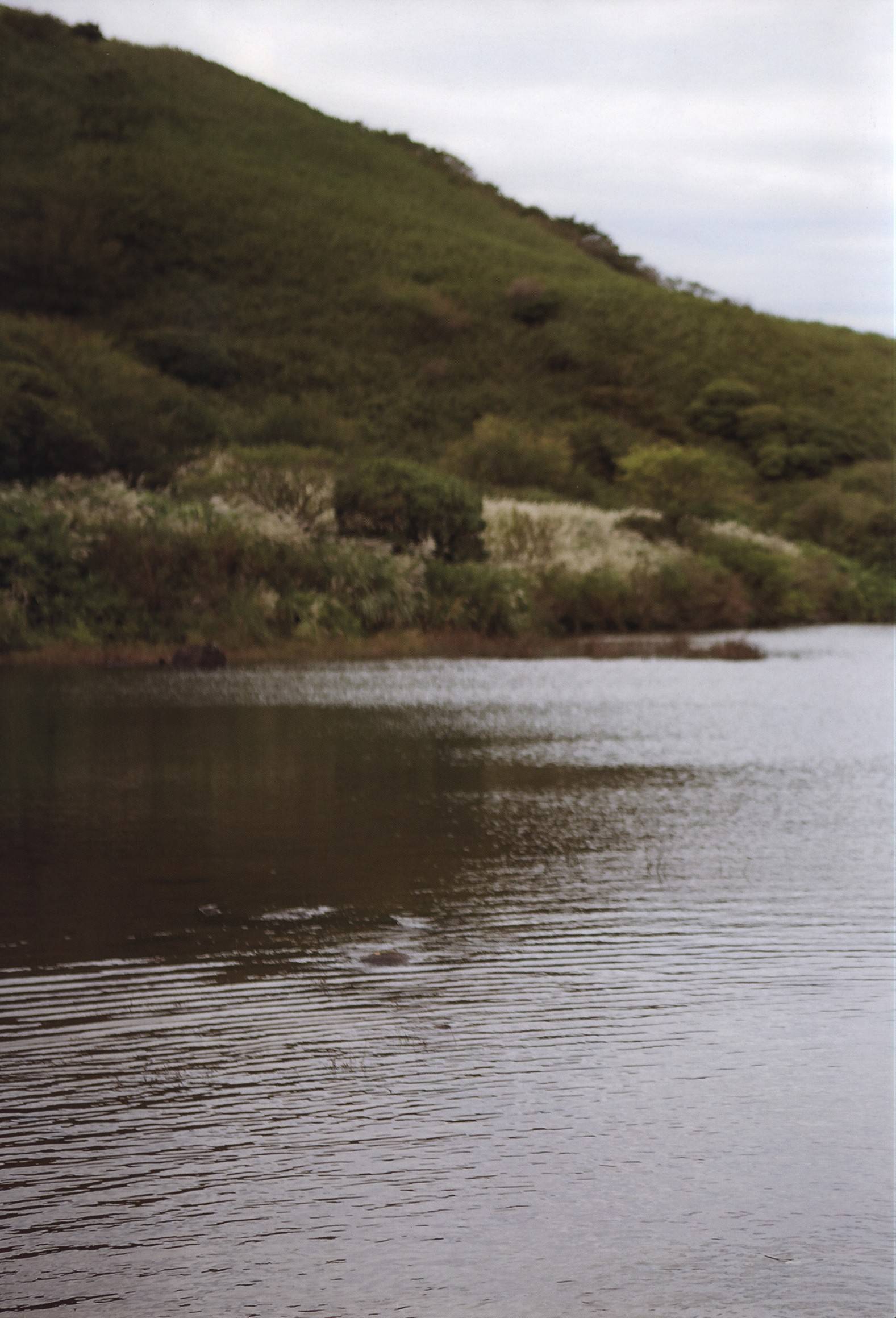 日系写真 ℃-ute 中島早貴 写真集 『 N20 』