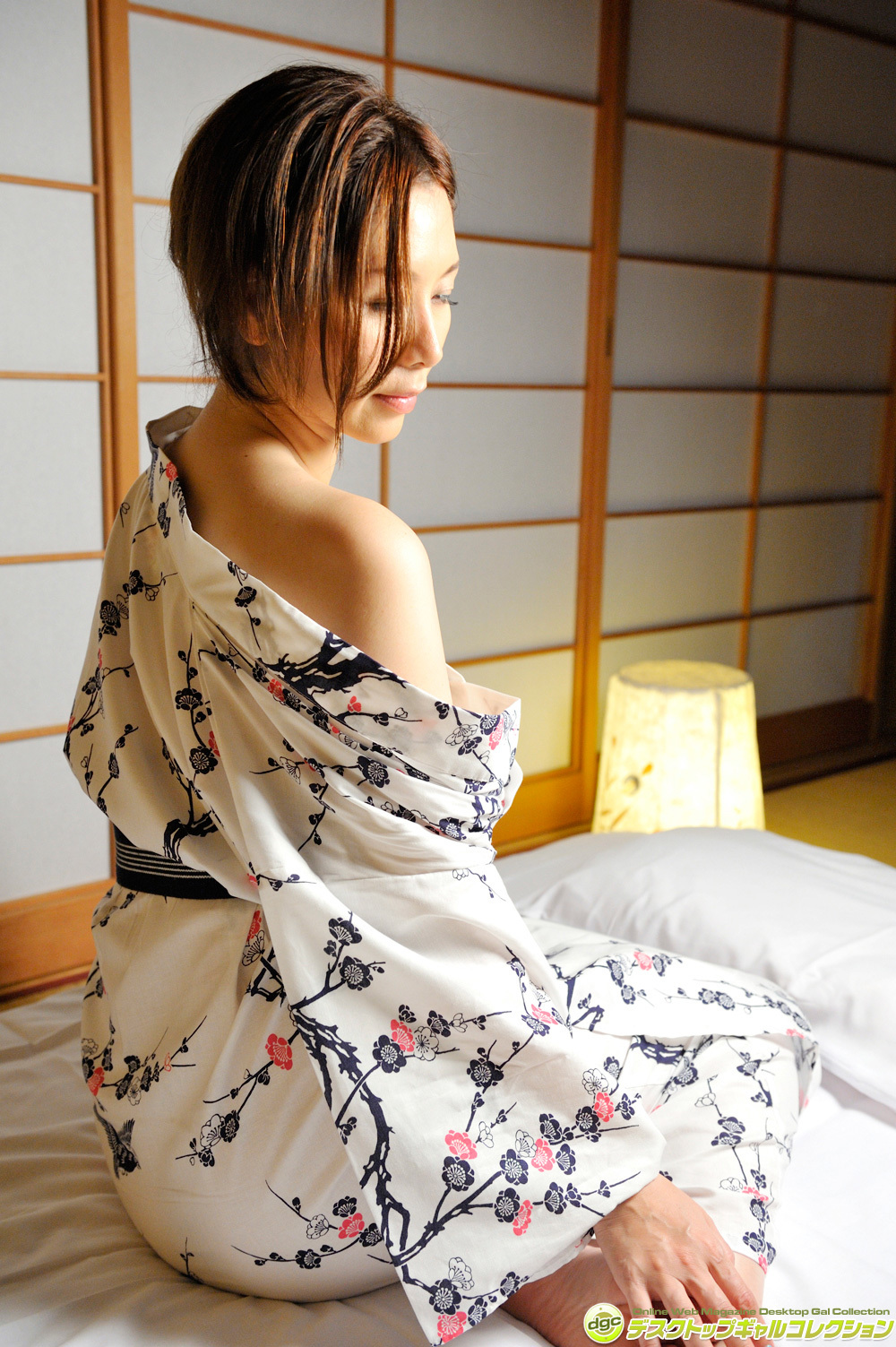 [DGC] 2014.10 No.1195 Chisato Shoda 翔田千里