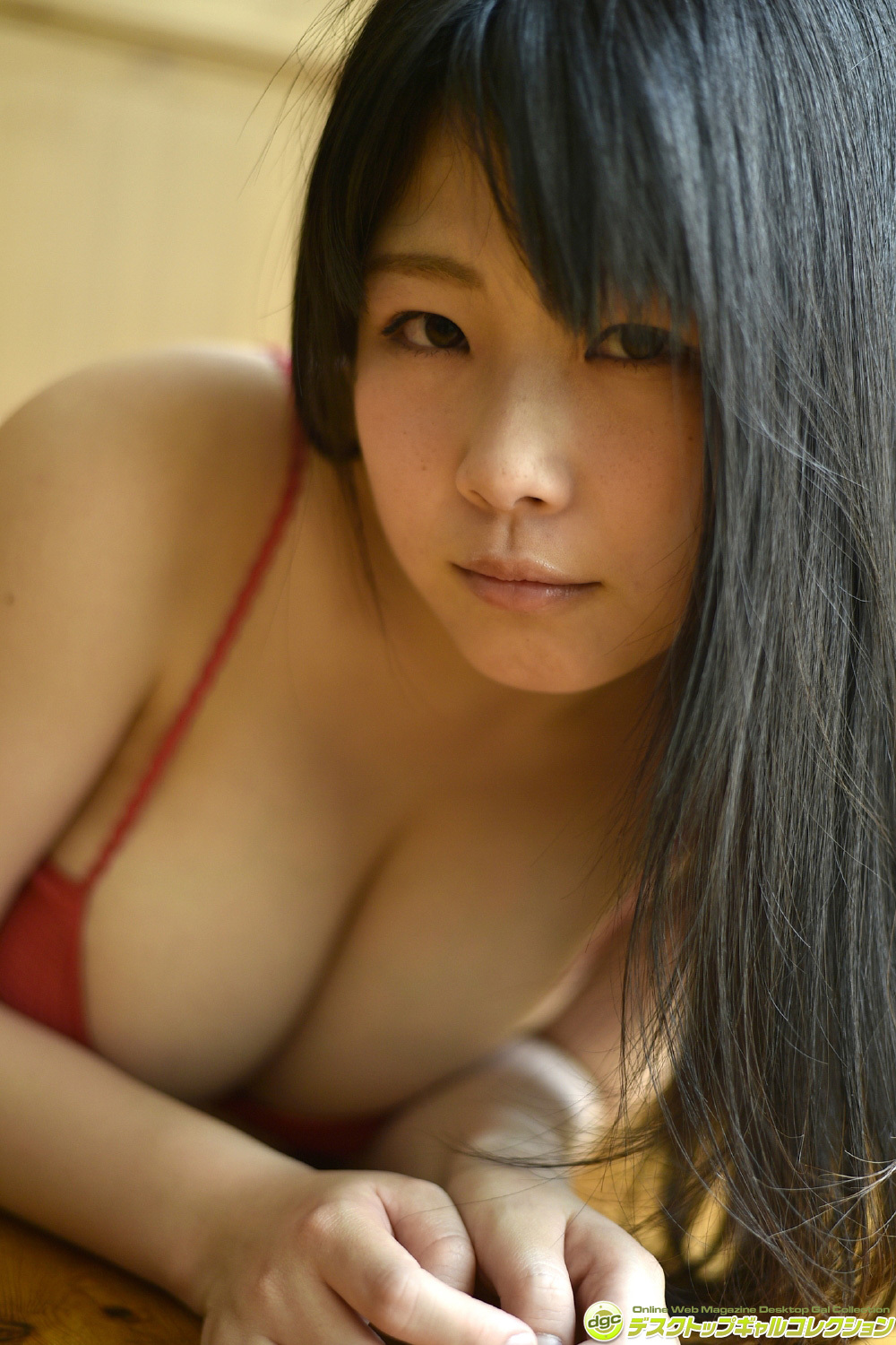 [DGC] 2014.10 No.1196 Hana Seto 瀬戸花