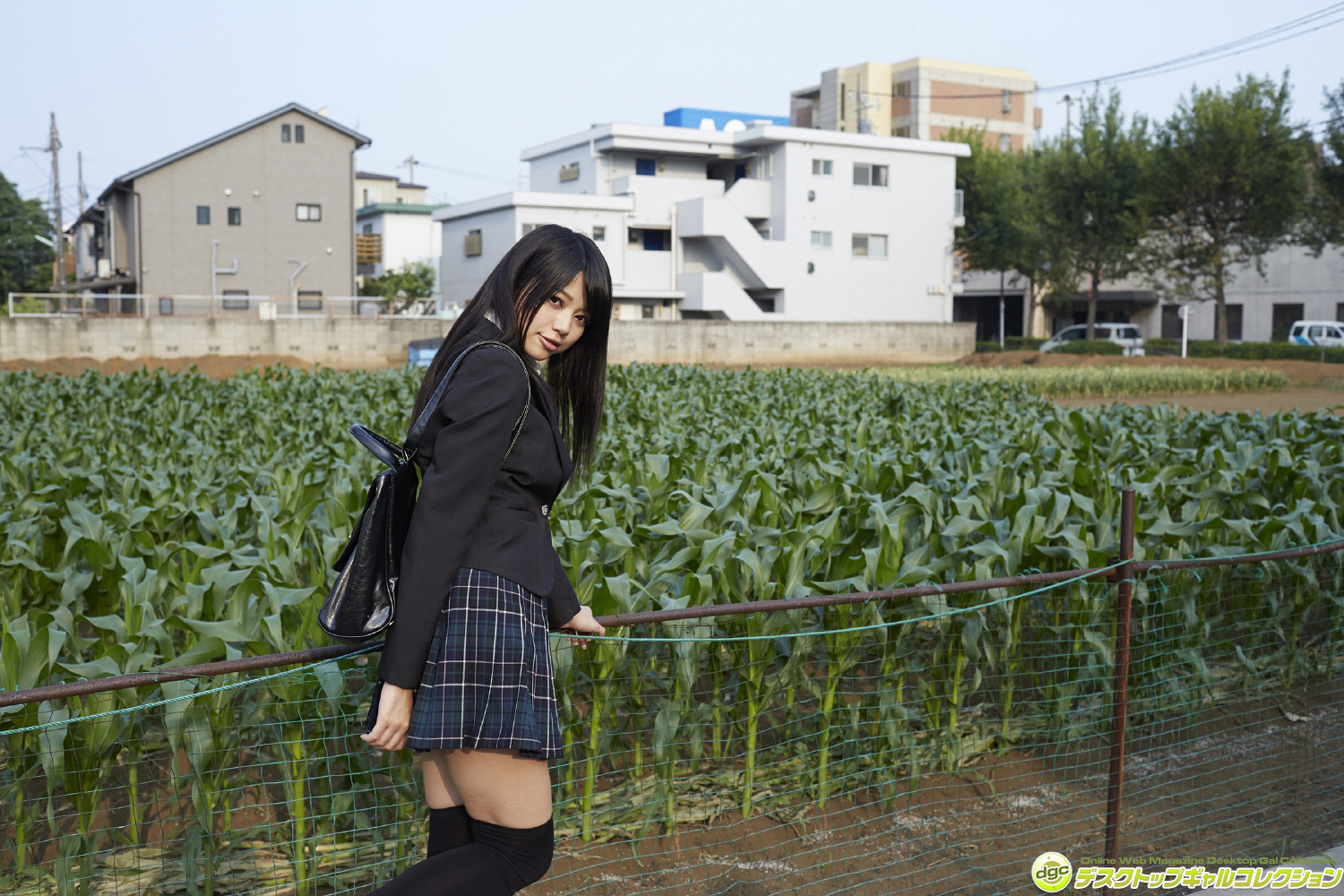 [DGC] 2014.11 No.1197 Chiyo Koma 小間千代