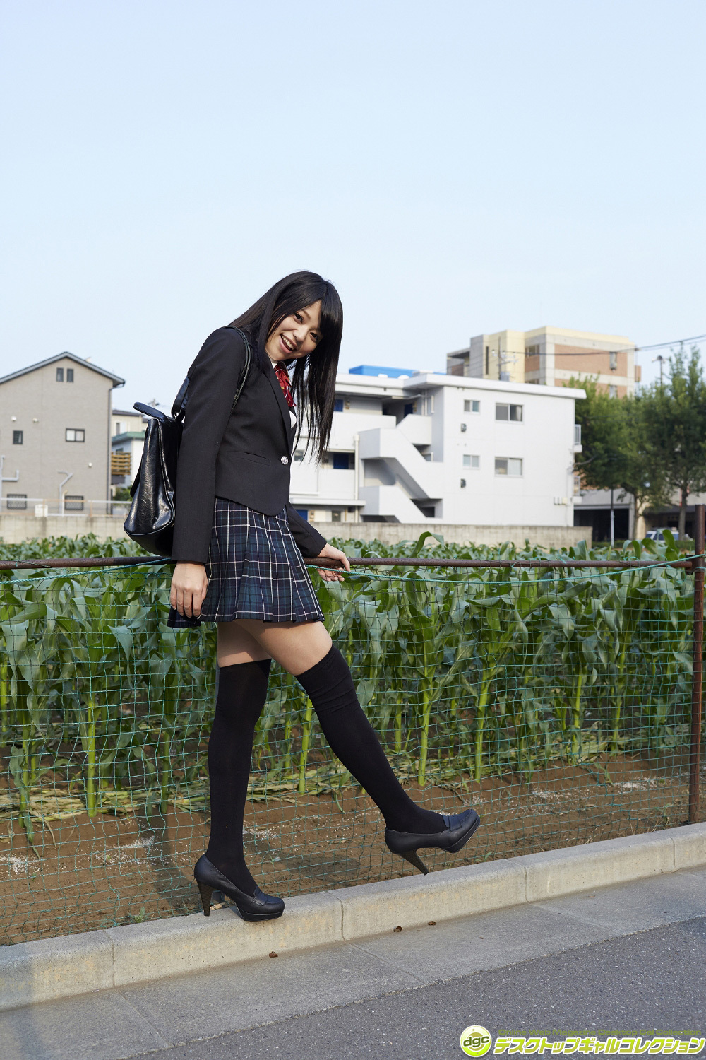 [DGC] 2014.11 No.1197 Chiyo Koma 小間千代