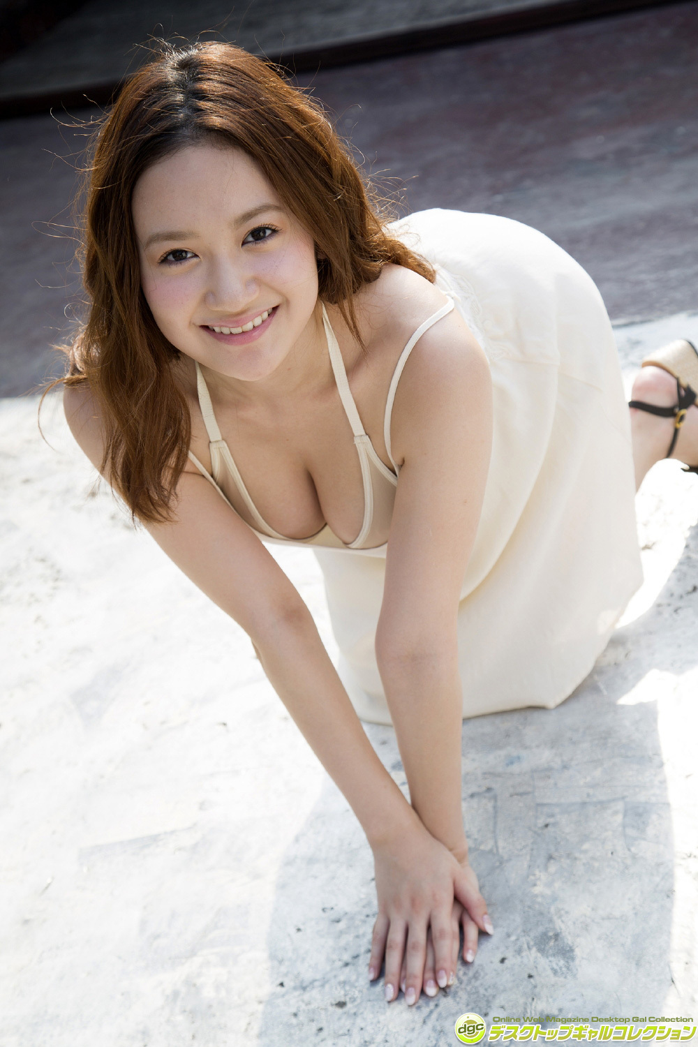 [DGC] 2014.11 No.1198 Yume Hazuki 葉月ゆめ