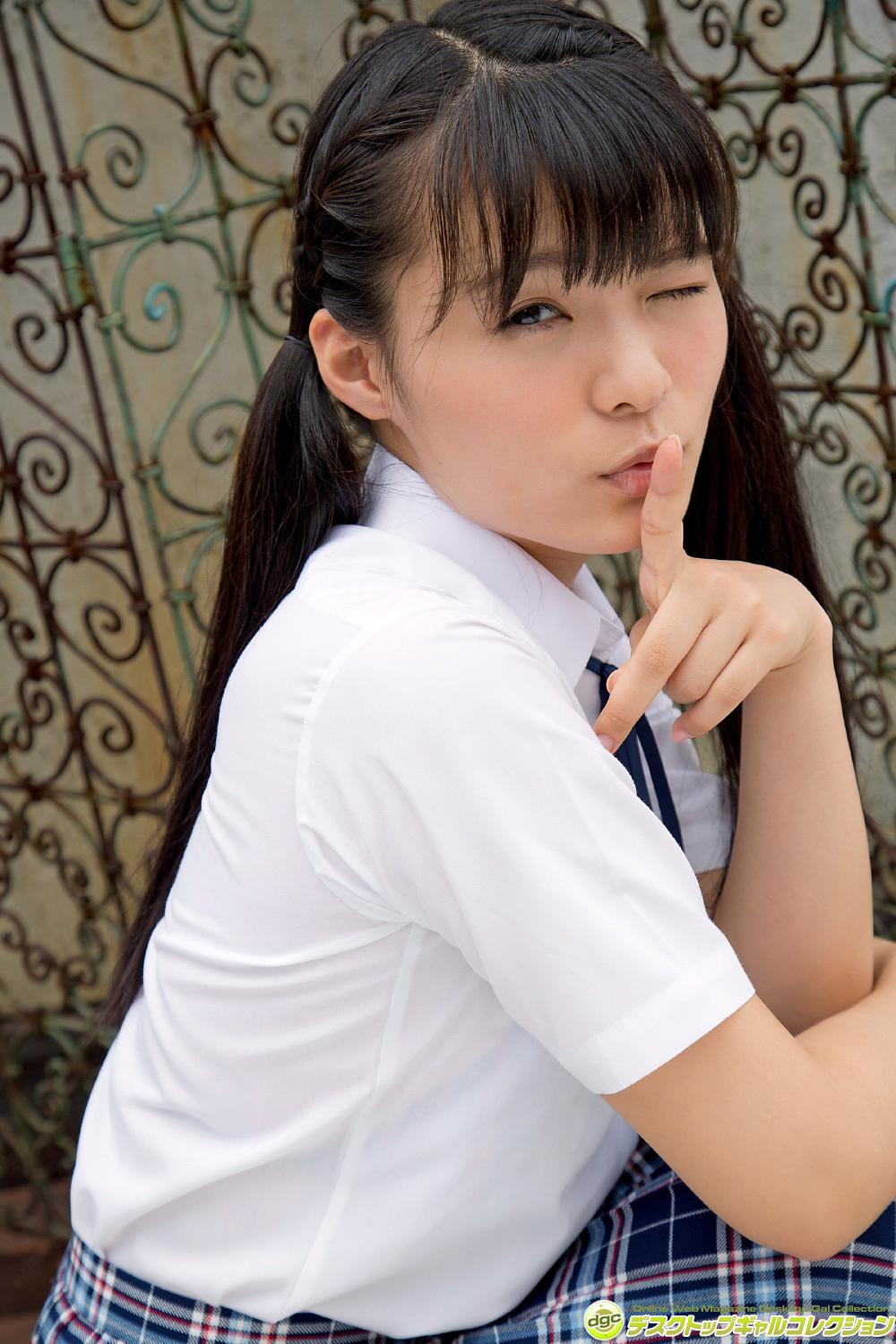 [DGC] 2014.12 No.1203 Mizuki Hoshina 星名美津紀