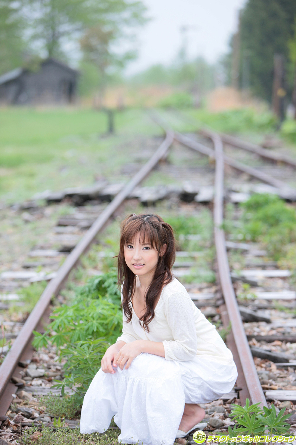 [DGC] 2014.12 No.1206 Shiori Kawana 川奈栞