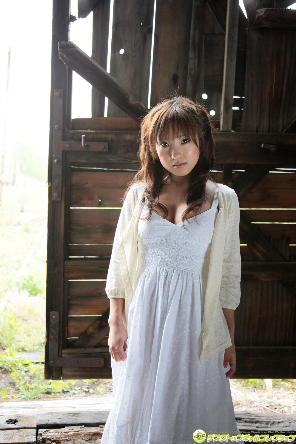 [DGC] 2014.12 No.1206 Shiori Kawana 川奈栞