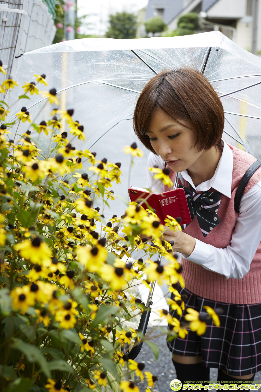 [DGC]2015.01 No.1212 Chie Itoyama 糸山千恵