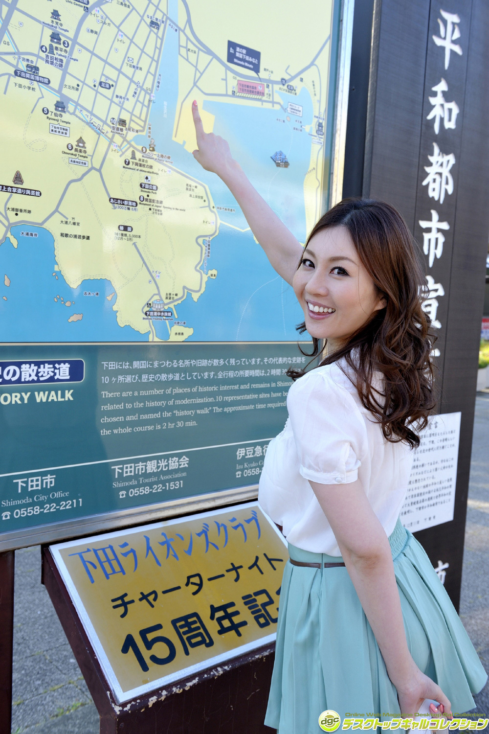 [DGC]2015.01 No.1213 Yui Tatsumi 辰巳ゆい