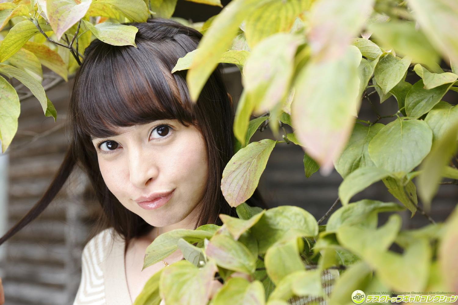 [DGC] 2015.11 No.1270 Ai Nishida 西田藍