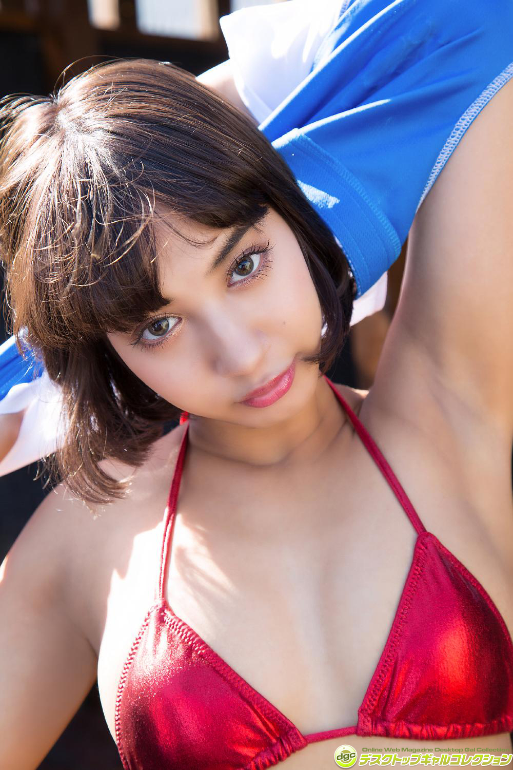 [DGC]2017.01 No.1354 Sayumi Makino 牧野紗弓