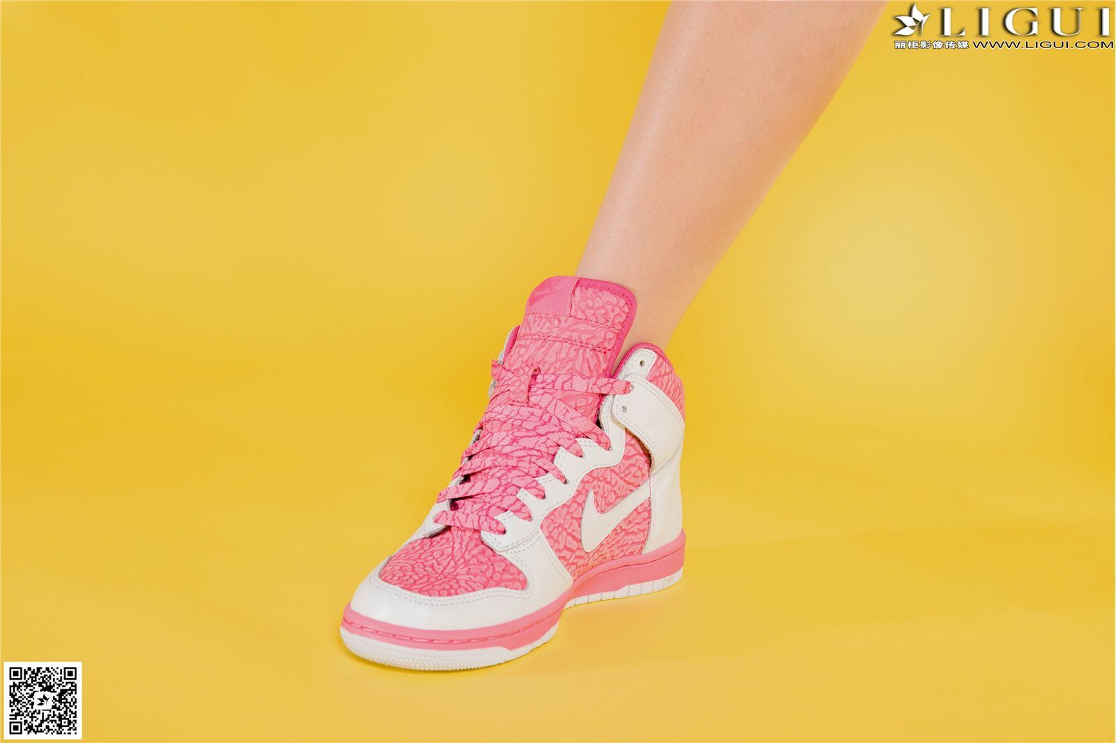 [Ligui丽柜]2014.11.15 网络丽人 Model 允儿