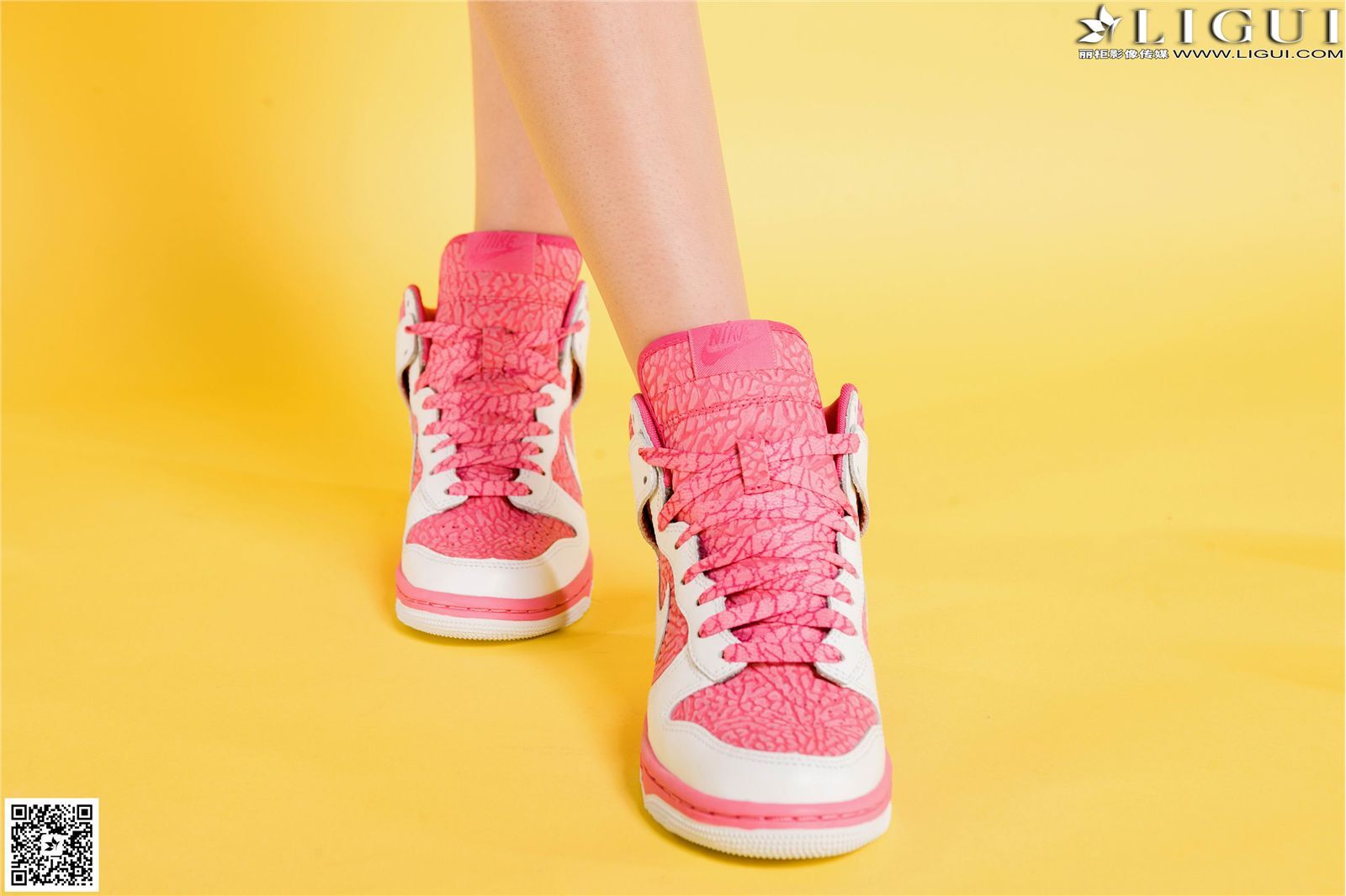 [Ligui丽柜]2014.11.15 网络丽人 Model 允儿