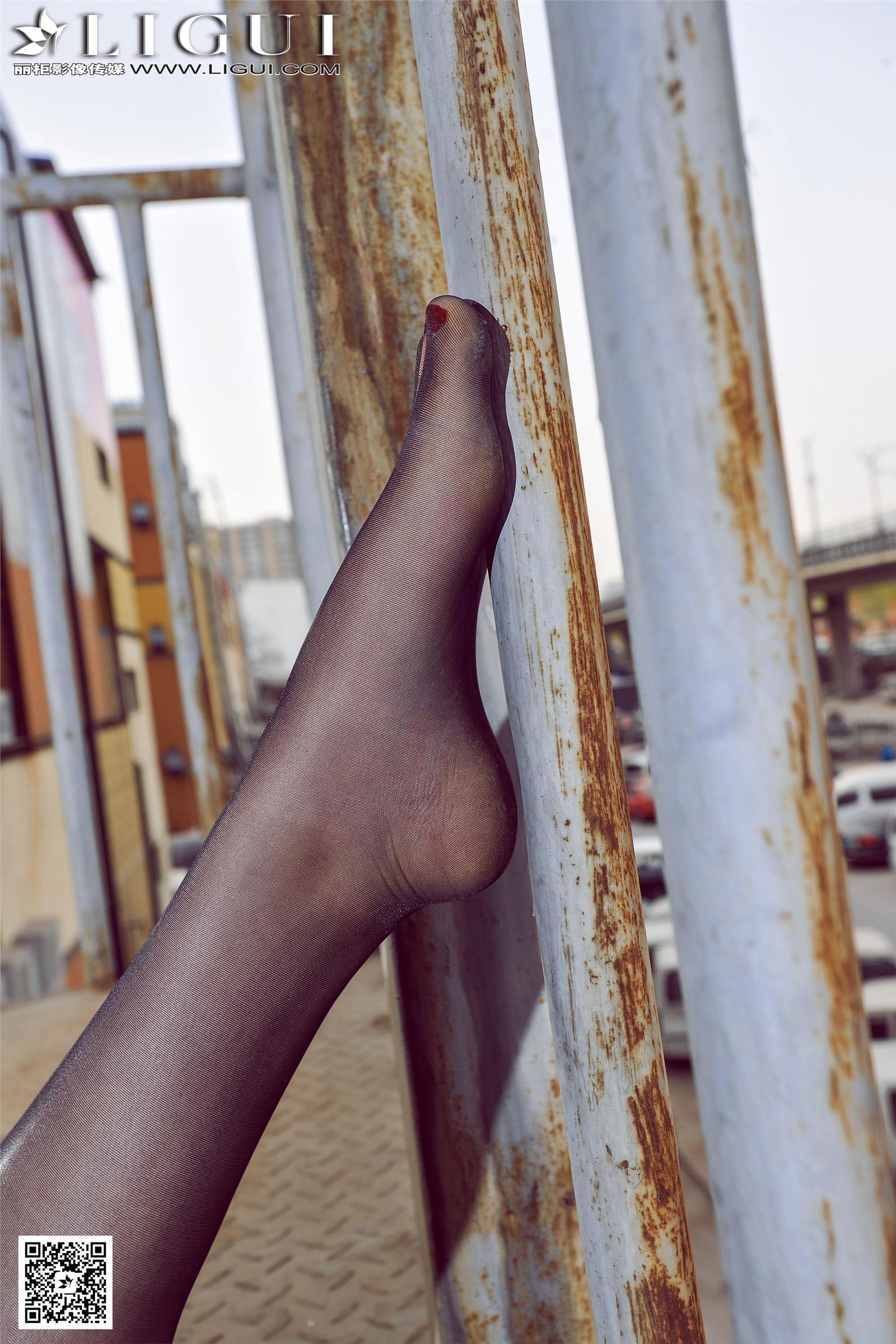 [Ligui丽柜]2015.04.24 网络丽人 Model 佳怡